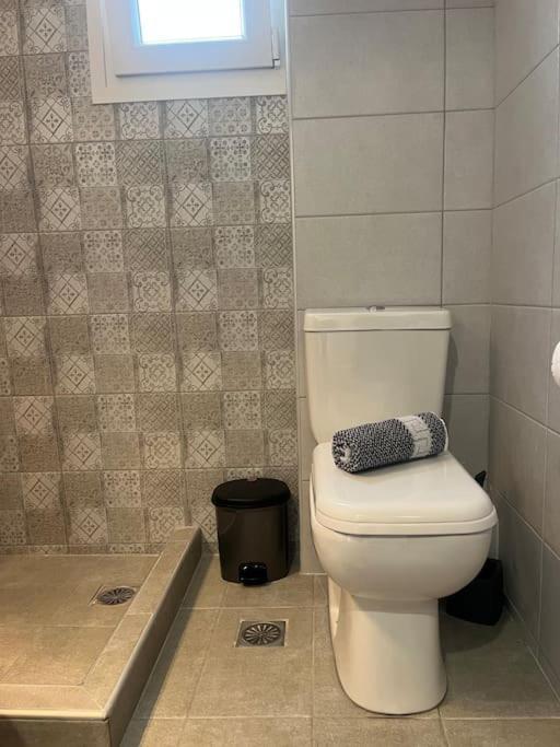 Eirini'S House Apartment Паралия Дионисиу Екстериор снимка